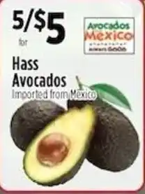 Hass Avocados