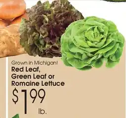 Family Fare Red Leaf, Green Leaf or Romaine Lettuce offer