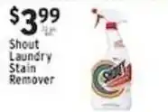 Associated Shout laundry stain remover offer