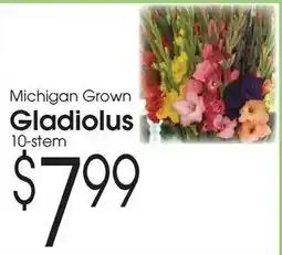Family Fare Michigan Grown Gladiolus offer