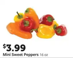 Fareway Mini Sweet Peppers offer
