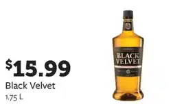 Fareway Black Velvet offer