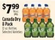 Pioneer Supermarkets Canada Dry offer