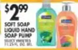 Pioneer Supermarkets Soft Soap Liquid Hand Soap Pump offer