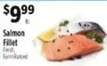 Pioneer Supermarkets Salmon Fillet offer
