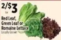 Pioneer Supermarkets Red Leaf, Green Leaf or Romaine Lettuce offer