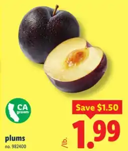 Lidl plums offer
