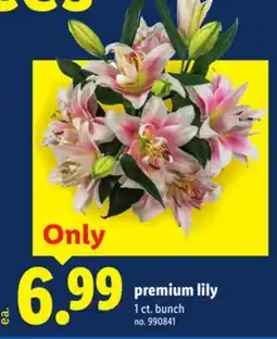 Lidl premium lily offer