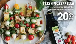 New Seasons Market Fresh Mozzarella offer