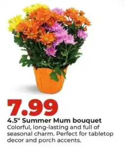Hy-Vee 4.5" Summer Mum bouquet offer