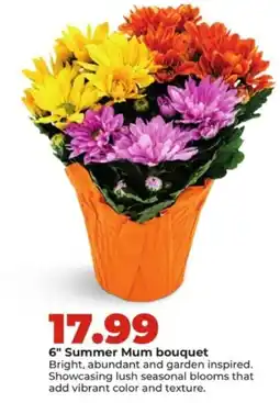 Hy-Vee 6" Summer Mum bouquet offer