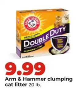 Hy-Vee Arm & Hammer clumping cat litter offer