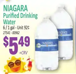 Jetro NIAGARA Purified Drinking Water offer