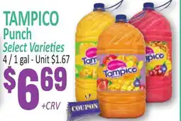 Jetro TAMPICO Punch offer
