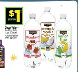 Dollar General Clover Valley Sparkling Water offer