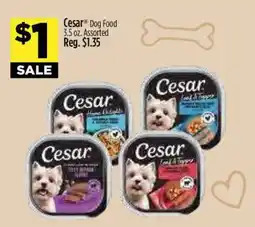 Dollar General Cesar Dog Food offer