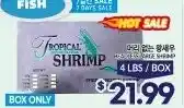 Tropical Shrimp