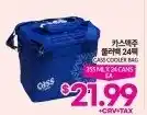 Zion Market Gass cooler bag offer