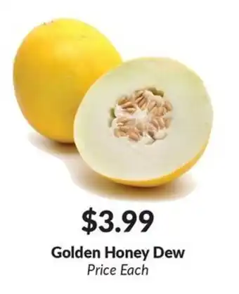 Golden Honey Dew