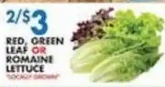 Associated Red, Green Leaf Or Romaine Lettuce offer