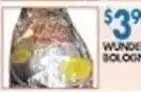 Associated Wonder Bologna offer