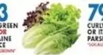Associated Green or Romaine Lettuce offer