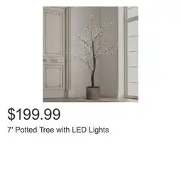 Costco 7' Potted Tree with LED Lights offer