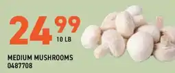 US Foods Chef's Store Medium Mushrooms offer