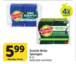 Pavilions Scotch-Brite Sponges offer