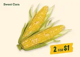 Sprouts Farmers Market Sweet Corn offer