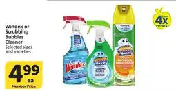 Albertsons Windex or Scrubbing Bubbles Cleaner offer