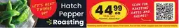 Albertsons Hatch Pepper Roasting offer
