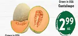 Rio Valley Market Cantaloupe offer