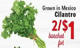 Rio Valley Market Cilantro offer