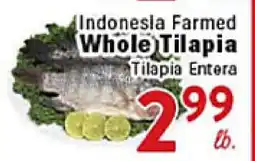 Rio Valley Market Indonesia Farmed Whole Tilapia offer