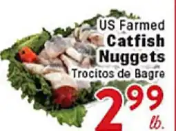 Rio Valley Market US Farm Catfish Nuggets offer