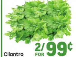 Tony’s Fresh Market Cilantro offer