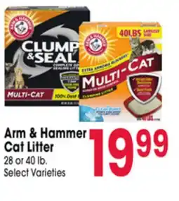 Jewel-Osco Arm & Hammer Cat Litter offer