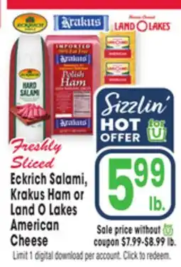 Jewel-Osco Eckrich Salami, Krakus Ham or Land O Lakes American Cheese offer