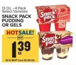 Food Lion Snack Pack Pudding or Gels offer