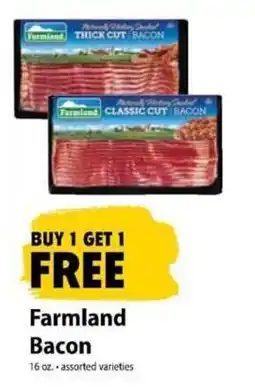 Festival Foods Farmland Bacon offer