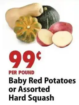 Festival Foods Baby Red Potatoes or Assorted Hard Squash offer