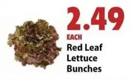Festival Foods Red Leaf Lettuce Bunches offer