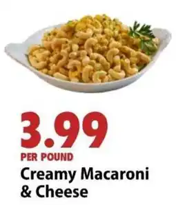 Festival Foods Creamy Macaroni & Cheese offer