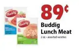 Festival Foods Buddig Lunch Meat offer