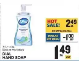 Food Lion Dial hand soap offer