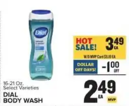 Food Lion Dial body wash offer