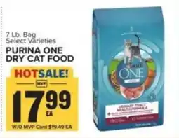 Food Lion Purina one dry cat food offer