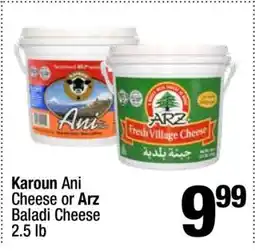 Super King Markets Karoun Ani Cheese or Arz Baladi Cheese offer