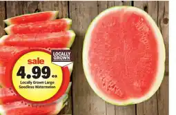 Meijer Locally Grown Large Seedless Watermelon offer